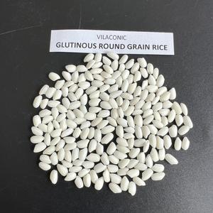 ข้าวเวียดนามอบแห้ง (+ 84) 813623970ข้าวเหนียวทรงกลมมีกลิ่นหอมเกรดพรีเมี่ยม - Product Image 4