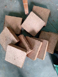 Turba de Coco Suelta para Mezclar con Tierra para Macetas y Uso en Horticultura - Product Image 2