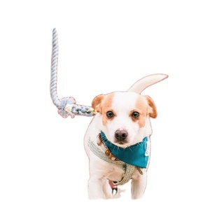 Handmade Cotton Natural Dog Rope <b>Leash</b> for Your Puppy Dog Walking Rope <b>Leash</b> Gift for Your Dog Customize Rope <b>Leash</b> - Product Image 1
