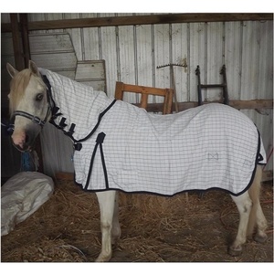 Fabrik Hersteller Miniatur Pferde teppich Lieferungen Kanpur Großhandel Custom Bestseller Mini Pferde teppiche India Tack Shop Online - Product Image 3