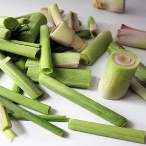 Lemongrass CITRONELLA lime leaf enough exporting standard