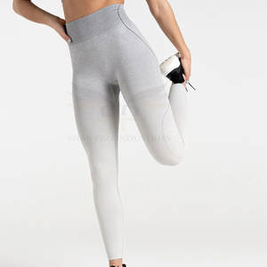Gimnasio Fitness Mujer Legging Entrenamiento Mujer Legging Activewear Mujer Legging sin costuras para la mejor venta - Product Image 2