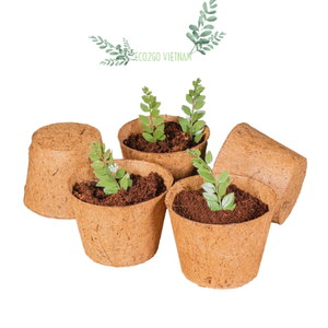 Macetas biodegradables para plantas/maceta de fibra de coco con precio barato y alta calidad natural de Eco2go Vietnam - Product Image 1