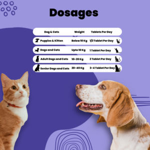 Aniamor Pet e Bone Care Tablets OEM Suplemento para Animais - Product Image 4