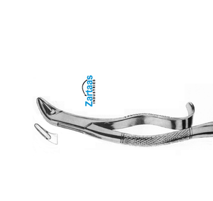 Pince d'extraction en acier inoxydable de haute qualité balançoire molaires inférieures fig 286 Fabricant et exportateur - Product Image 4