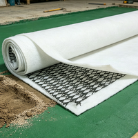 Filet de drainage géocomposite fabriqué au Shandong, maille composite 3D pour le drainage des décharges, des routes, des voies ferrées et des pentes