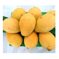 Hoge kwaliteit verse gele mango's, bestseller, goedkoop van 99GD Dong Thap Vietnam, graad A, 12-16cm, 250g