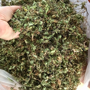 Hycotyle à ombelle séché de l'Asie du Sud-Est, de qualité d'exportation - Product Image 6