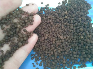 Fertilizante Premium DAP 18-46-0 para exportación global - Product Image 3