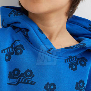 Sweats à capuche pour garçons, légers, pull-over, en molleton de coton chaud, pour le sport, la gym et les vêtements décontractés - Product Image 5