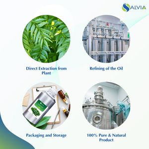 Huile de feuille de curry 100% pure et naturelle en gros en vrac prix le plus bas emballage personnalisé - Product Image 4