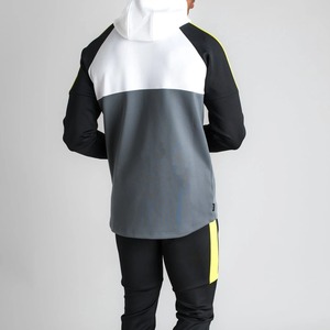 Ensemble deux pièces pour homme de haute qualité OEM, sweat-shirt et pantalon à capuche, 100% coton molletonné, écologique, imprimé décontracté, hiver - Product Image 4
