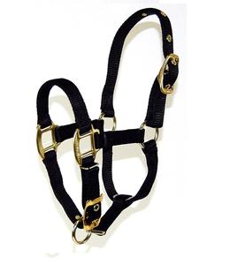 Cabestro de caballo de barbilla ajustable ODM directo de fábrica más vendido, P ONY, Cob, cabestros de sillín inglés completo de la India - Product Image 3