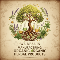Gouttes liquides personnalisées de 60 ml à base de plantes OEM pour l'équilibre hormonal féminin : Ortie piquante, Cohosh noir, Feuille de framboisier rouge