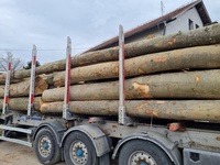 Prix d'usine en gros, bûches rondes en bois dur d'eucalyptus naturel, exportation de bûches en bois d'eucalyptus et prix