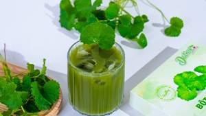 ผงใบเพนนีเวิร์ตแห้ง สำหรับทำน้ำผลไม้ ชา สมูทตี้ และการแปรรูปอาหาร - Product Image 2