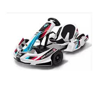 Kart électrique de course Price Racing avec tableau de bord numérique, frein hydraulique, transmission par chaîne, état neuf, moteur 500cc, 110cc, 1000w