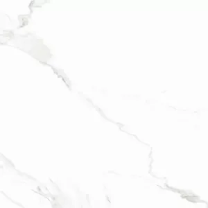 Naos Blanco 24 pouces. X 24 po. Échantillon de pièce coupée d'accessoire de carrelage de sol et de mur en porcelaine - Product Image 1