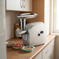Hachoir à viande professionnel en cuivre massif 1000 W max, conception à double bouton, multifonctionnel pour usage domestique et commercial