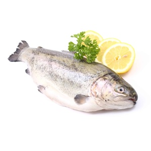 Proveedor de Trucha del Atlántico Fresca y Congelada a Precio de Mayoreo, Stock al por Mayor con Envío Rápido - Product Image 2