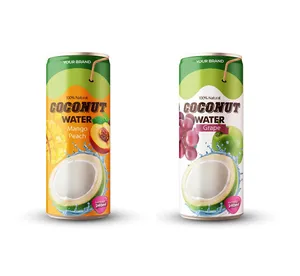 Eau de coco d'excellente qualité dans 250ml de boisson gazeuse en conserve avec saveur de fruits du fournisseur vietnamien Bon choix Meilleure vente