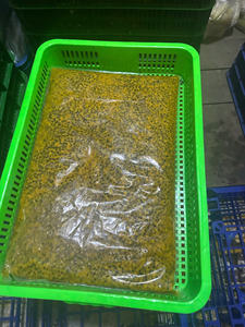 Top Deal Fruit de la passion congelé du Vietnam, purée de fruit de la passion congelée de haute qualité, fruit de la passion congelé Offres Spéciales sans graine - Product Image 4