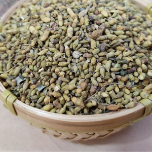 MEJOR CALIDAD PARCHING SOPHORA JAPONICA SUMINISTRO A MAYORISTAS Y REVENDEDORES VIET NAM - Product Image 6