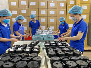 Sophisticated Everyday Storage First Plastic Basket Custom Design Virgin PP Material Virgin PP Decor Plastic Storage <b>Bins</b> Boxes - Product Image 2