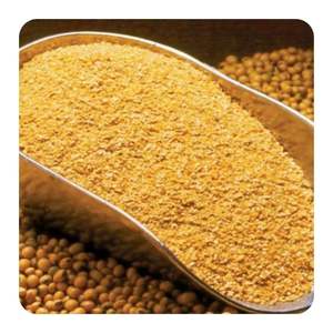 Comida de soja a granel ideal para ganado vacuno y aves de corral, comida rica en proteínas de soja con calidad natural y frescura - Product Image 5