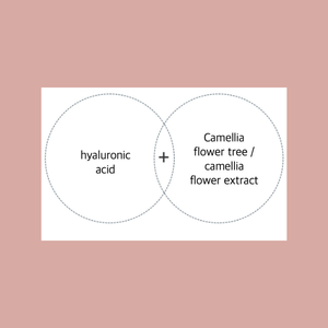 Lozione Funzionale Coreana Cap-Stay con Niacinamide, Essenza Fluida Adesiva per Sbiancamento, Anti-Rughe e Nutrimento - Product Image 3