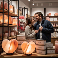 Ensemble de lampes en sel de l'Himalaya en forme de cœur rose écologiques, purificateur d'air, anti-stress, sculptées, avec cordon électrique, ampoule, meilleure qualité pour la maison