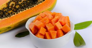 Vente chaude de morceaux de papaye rouge en conserve de qualité supérieure au sirop Quantités en vrac Stock du fournisseur du Vietnam - Product Image 5