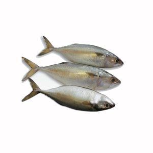 ปลาซาร์ดีนปลาในน้ํามันมะกอกบริสุทธิ์ 100% ปลาซาร์ดีนกระป๋อง - Product Image 2