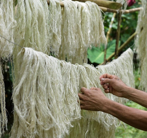 Fibra de piña natural | Fibra vegetal sostenible para textiles ecológicos, papel y productos biodegradables - Product Image 1