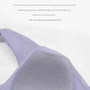 Confortable femmes Sport soutien-gorge grande taille respirant séchage rapide personnalisé Gym Yoga Fitness porter soutien élevé sans couture sport soutien-gorge - Product Image 6