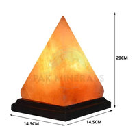 Lampes en sel naturel de l'Himalaya polies de haute qualité avec une couleur foncée pour la décoration de la maison