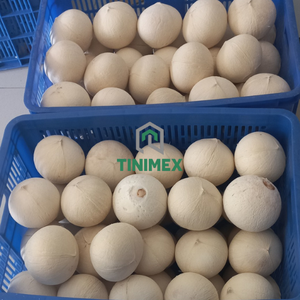 Coco pulido fresco de Vietnam adecuado para países de alto calor - Product Image 5