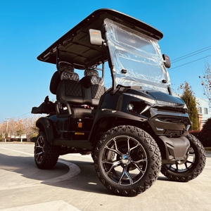 Carrito de golf más vendido disponible para hoteles, aeropuertos y comunidades - Product Image 3