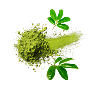 High Quality Natural Soursop Leaf Tea <b>Powder</b> and Extract Vietnam Herbal <b>Drink</b> for Wholesale - Product Image 1