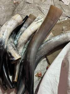 Cuerno de soplado natural de alta calidad y cuerno de soplado de Venta caliente con mayorista de precio más bajo de la mejor calidad de la India - Product Image 3