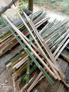 Natural 1 Meter Bamboo <b>Stake</b> <b>for</b> <b>Garden</b>, Plant Support and Agriculture - Product Image 5