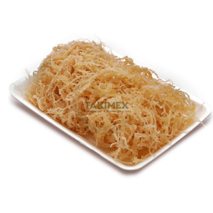 มอสทะเลสีน้ำตาล/เหลืองอบแห้งสาหร่าย Eucheuma cottonni จากโรงงานเวียดนามมอสทะเลพร้อมเกลือโรงงานผลิตในเวียดนาม - Product Image 1