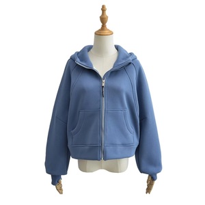 Fabricante de etiqueta privada Street Wear Hoodies Custom Fleece Relaxed Fit Oversized Zip Up Hoodies para mujeres - Product Image 1