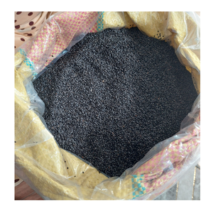 Graines de basilic de qualité supérieure pour l'industrie des boissons avec une qualité exceptionnelle et une capacité d'hydratation rapide - Product Image 2