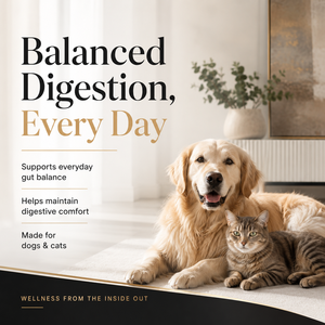 Suplemento Natural para la Salud Digestiva de Cachorros y Gatitos - Polvo Probiótico de 5 Mil Millones de UFC con Calabaza para <span class=keywords><strong>el</strong></span> Equilibrio Intestinal - Product Image 4