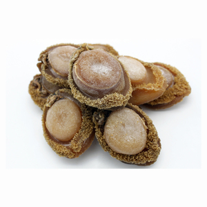 N09 Venta caliente nutritivo 500g abulón seco Vieira mariscos - Product Image 4