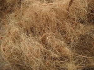 La meilleure fibre de noix de coco du Vietnam pour la production de matelas et l'utilisation de corde polyvalente produit agricole polyvalent - Product Image 3