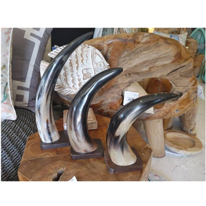 Corne décorative de buffle au design moderne avec support en bois et bordure en laiton, vaisselle élégante, corne décorative pour boire - Product Image 3