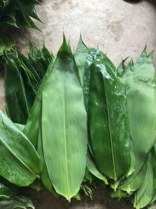 DECORACIÓN DE HOJAS DE BAMBÚ DE ALTA CALIDAD: NATURAL, ECOLÓGICO, TÁCTIL ELEGANTE-LOTO AZUL VIETNAM - Product Image 6