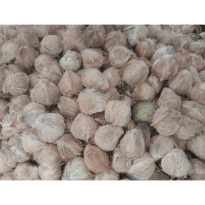 Noix de coco semi décortiquée à haute humidité offerte en vrac avec un délai d'exécution rapide pour les commandes internationales dans l'hôtellerie - Product Image 4